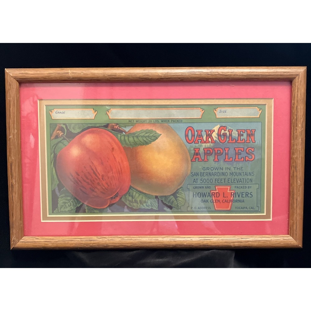 Framed & Matted Fruit Crate Label Advertising Oak Glen Apples California VTG Art